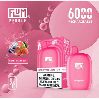 Best-Selling Flum Pebble Disposable Vape 5% Nicotine | $13.99