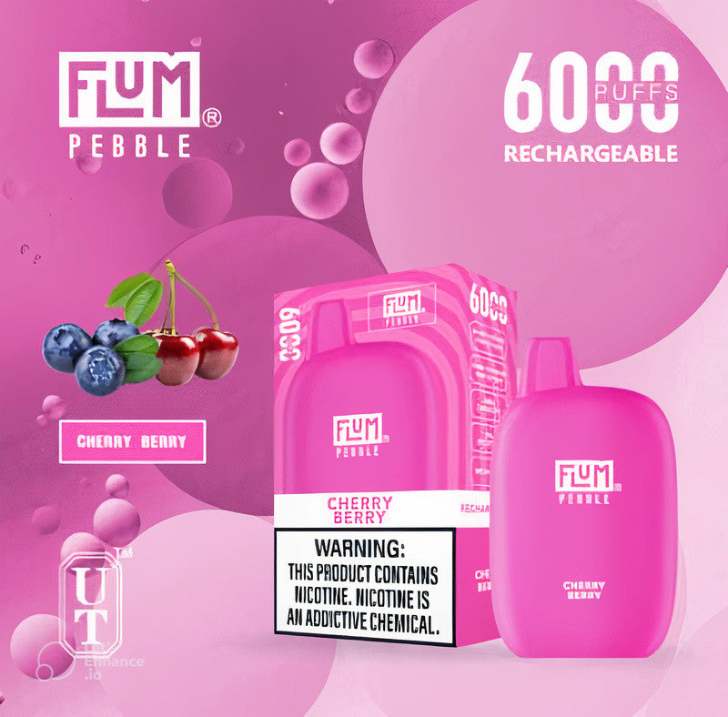 Best-Selling Flum Pebble Disposable Vape 5% Nicotine | $13.99