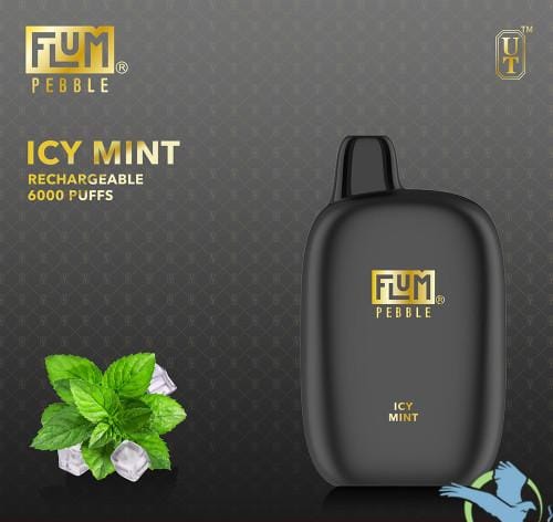 Best-Selling Flum Pebble Disposable Vape 5% Nicotine | $13.99