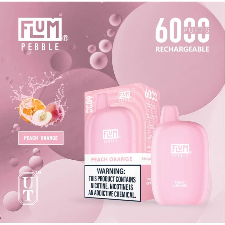 Flum Pebble Disposable Vape 5% Nicotine | $13.99