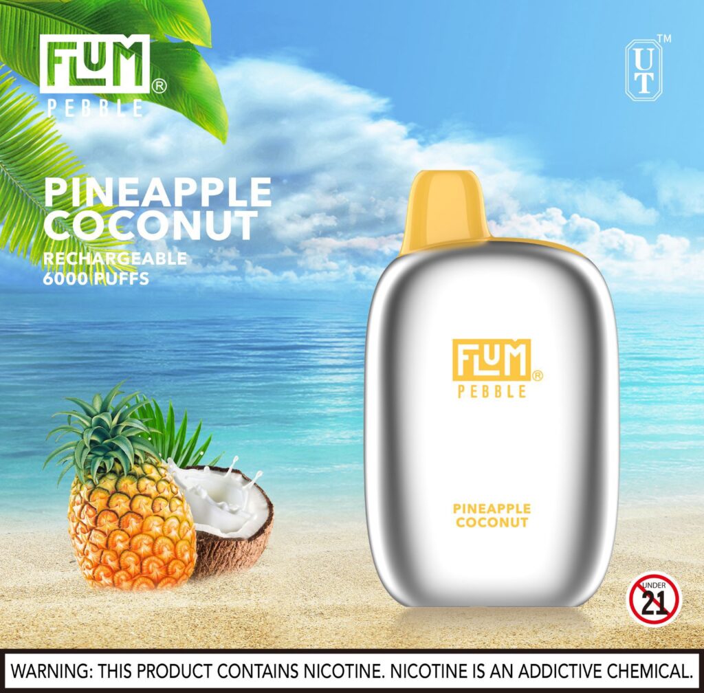 Best-Selling Flum Pebble Disposable Vape 5% Nicotine | $13.99