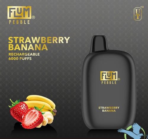 Best-Selling Flum Pebble Disposable Vape 5% Nicotine | $13.99