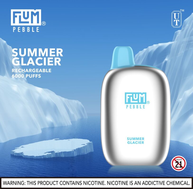 Flum Pebble Disposable Vape 5% Nicotine | $13.99