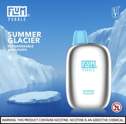 Best-Selling Flum Pebble Disposable Vape 5% Nicotine | $13.99